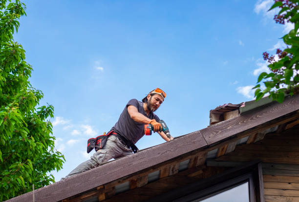 Best Sheet Metal Roofing  in Ferndale, WA