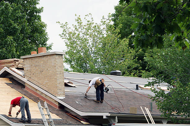 Best Solar Panel Roofing Installation  in Ferndale, WA
